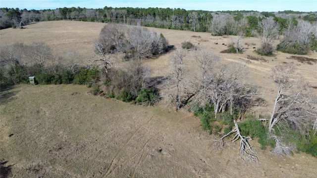 a view of yard with green space