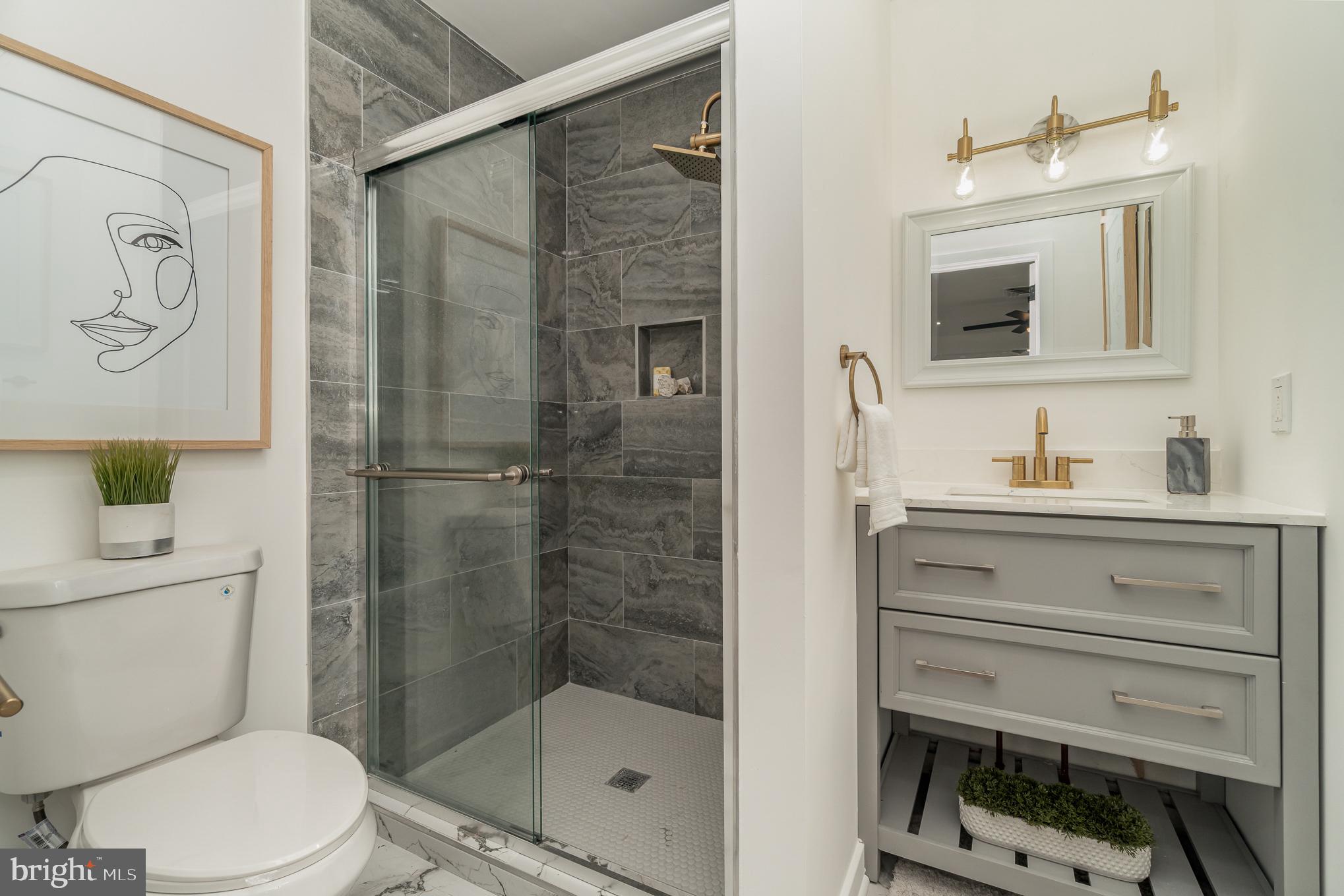 555 Hilltop Road Hummelstown, PA 17036 - Photo 47 of 56 a bathroom with a shower a toilet a sink and mirror