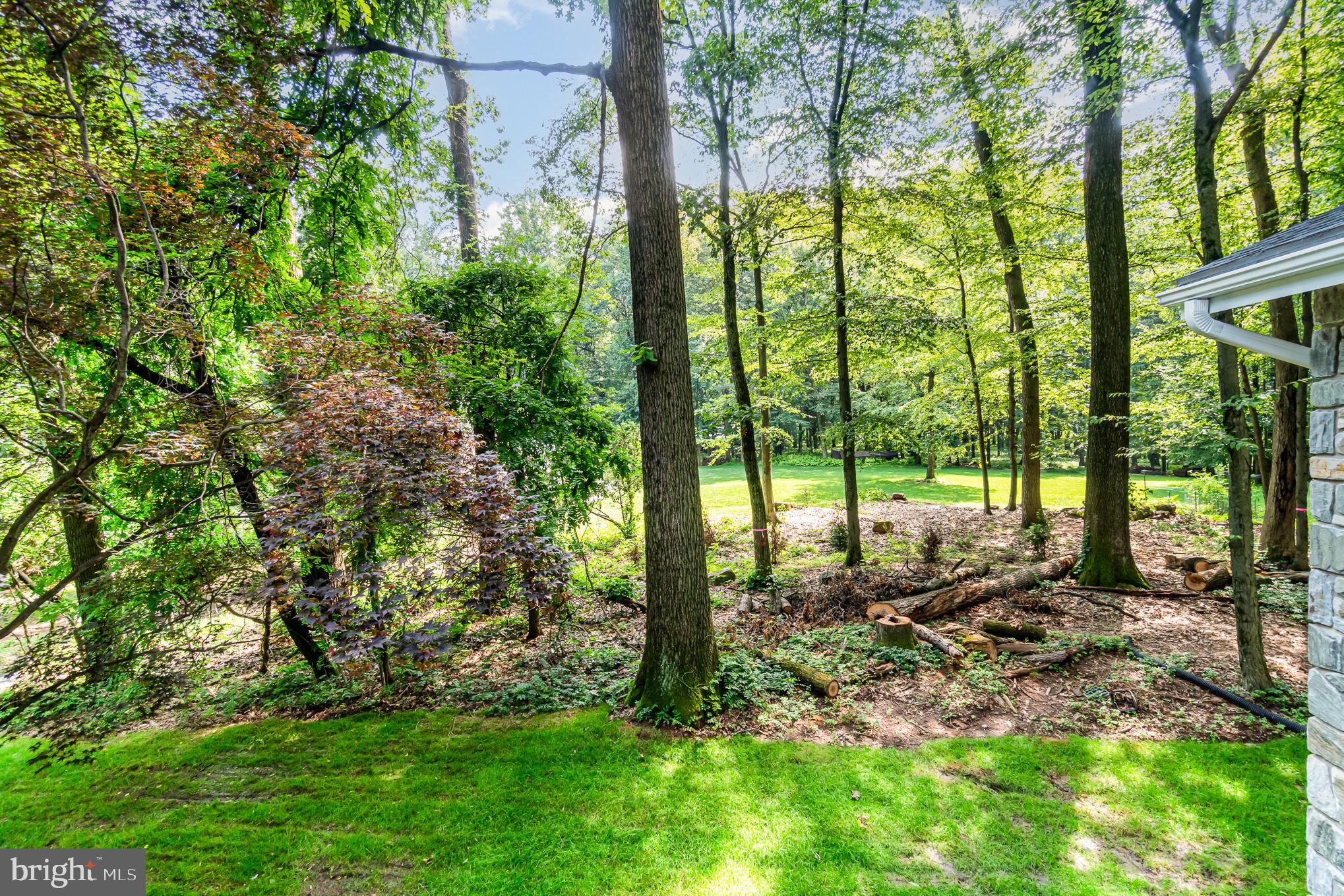 555 Hilltop Road Hummelstown, PA 17036 - Photo 5 of 56