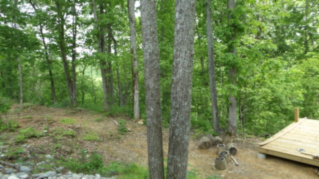 837 Rock Springs Road Celina, TN 38551 - Photo 14 of 28 a view of a forest with trees