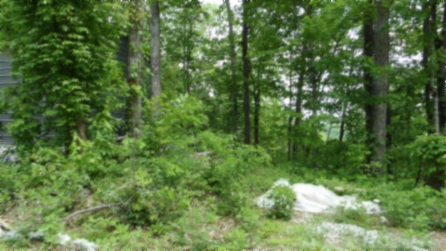 837 Rock Springs Road Celina, TN 38551 - Photo 25 of 28 a view of a lush green forest