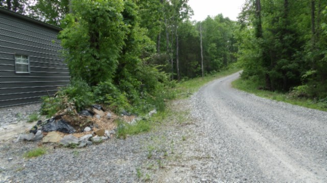 837 Rock Springs Road Celina, TN 38551 - Photo 26 of 28 a view of a yard with plants and a tree