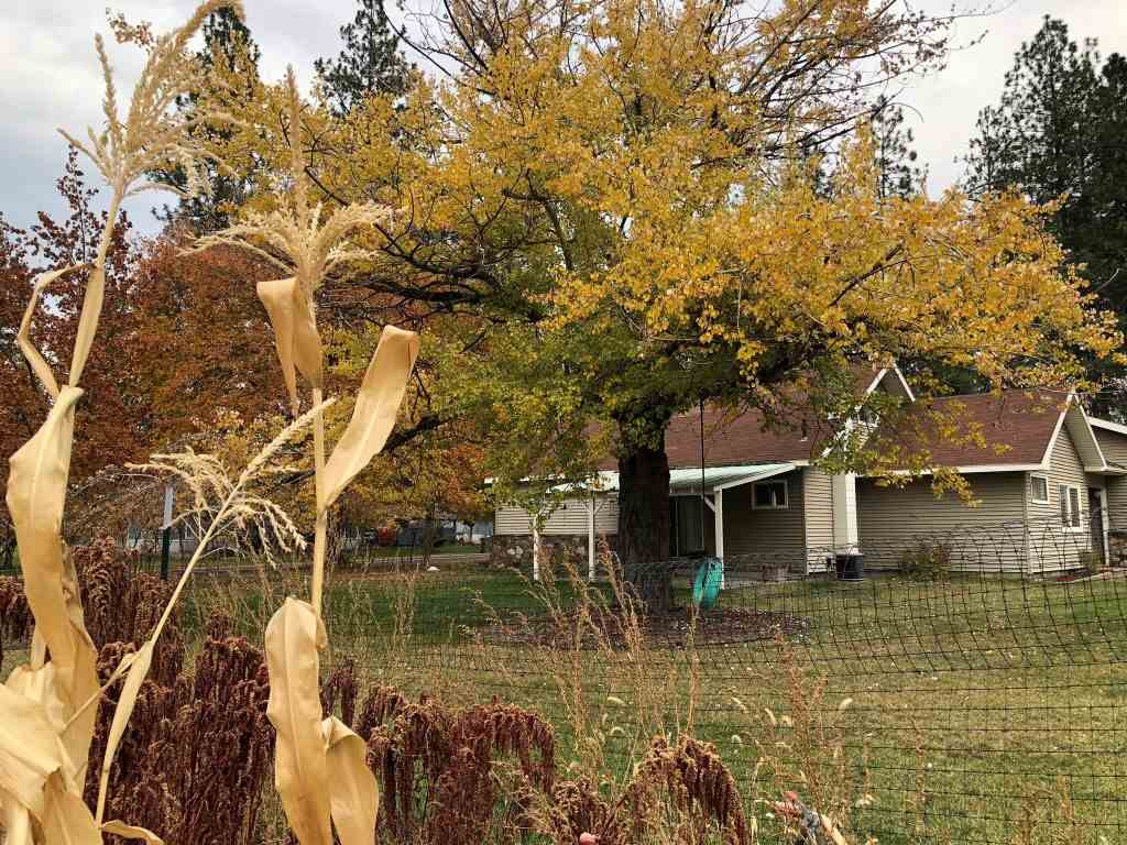3822 East Lane Park Road Mead, WA 99021 - Photo 3 of 20 Gallery Image 3