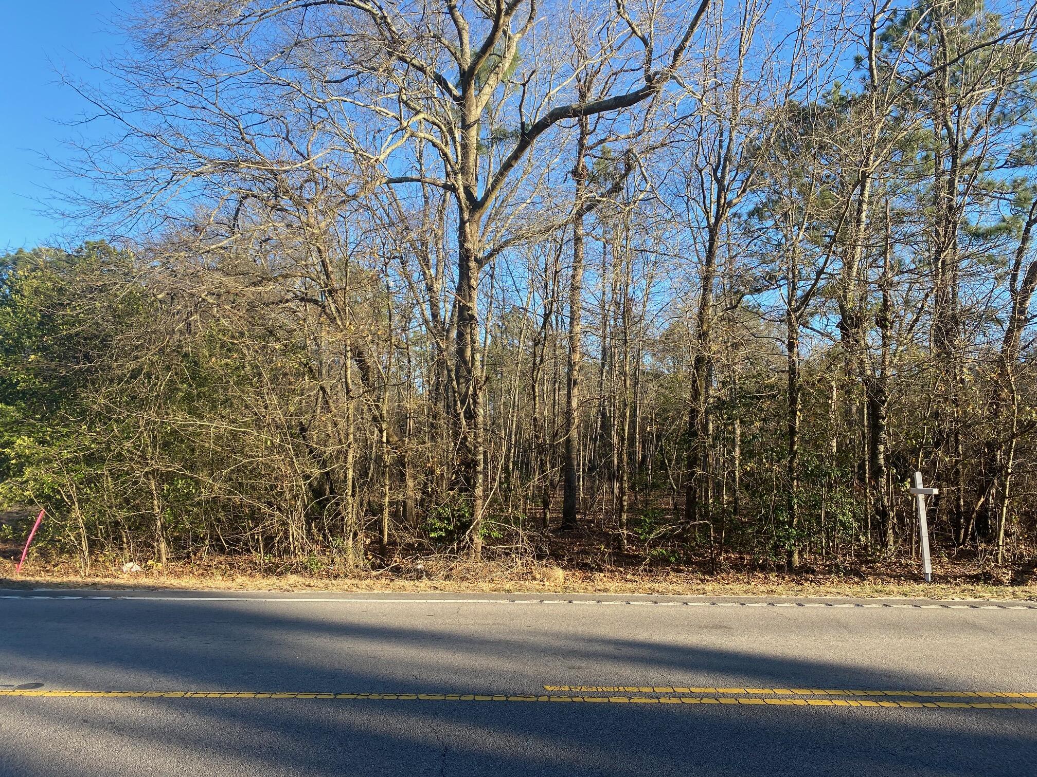 0 Fish Hatchery Road, Unit A Gaston, SC 29053 - Photo 2 of 7