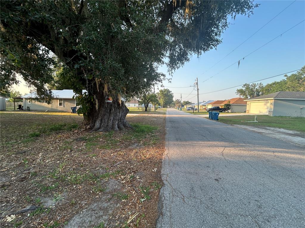 0 South Perry Avenue Fort Meade, FL 33841 - Photo 11 of 11 a view of a yard with a tree