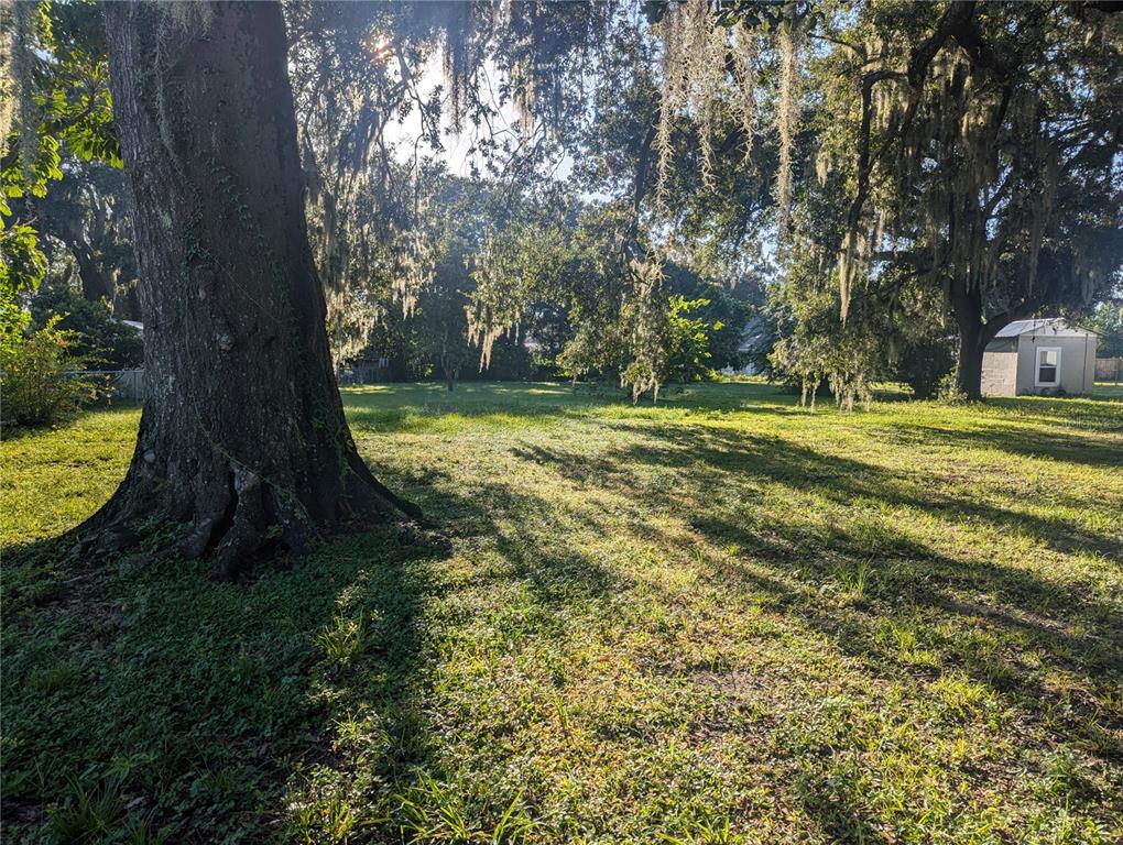 0 South Perry Avenue Fort Meade, FL 33841 - Photo 2 of 11 a view of a trees in a yard
