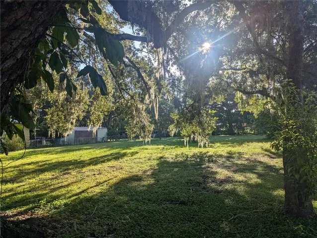 a view of a trees in a yard
