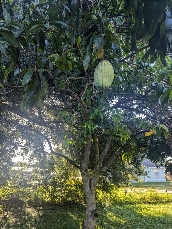 0 South Perry Avenue Fort Meade, FL 33841 - Photo 6 of 11 a aerial view of a yard