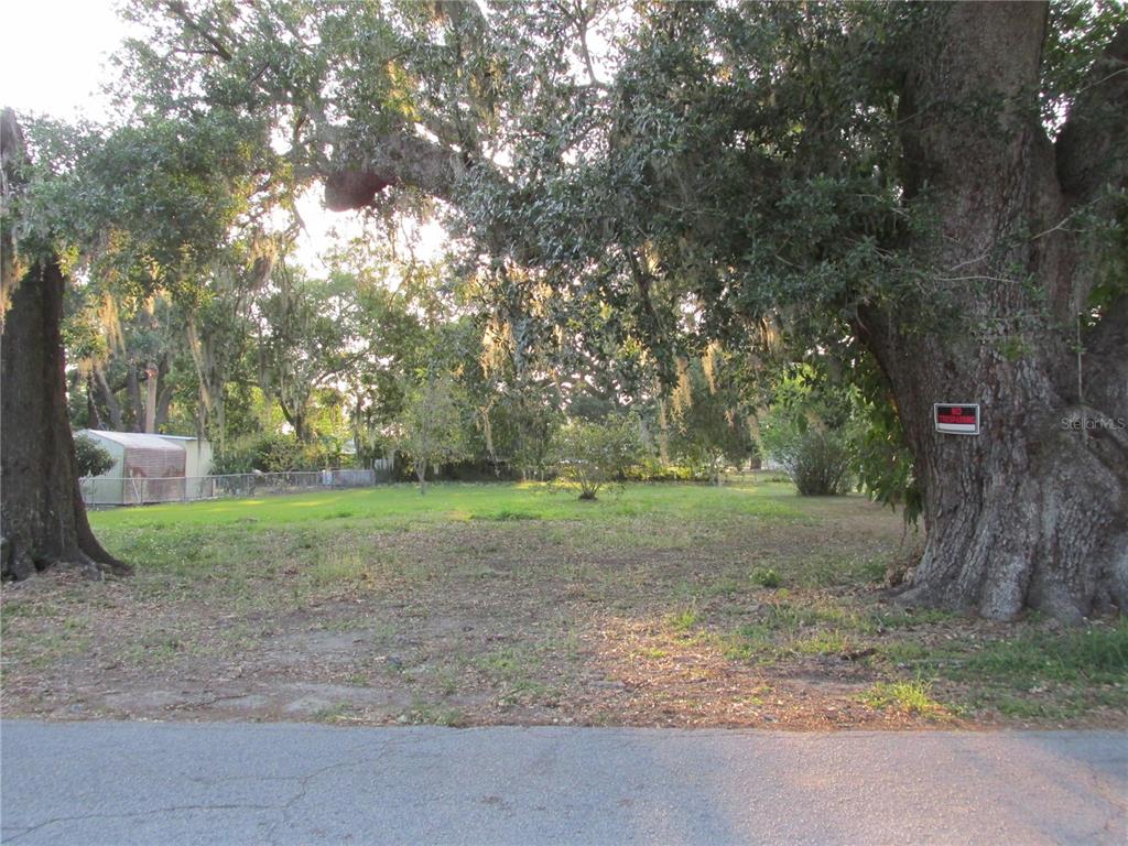 0 South Perry Avenue Fort Meade, FL 33841 - Photo 9 of 11 a view of a yard with a tree