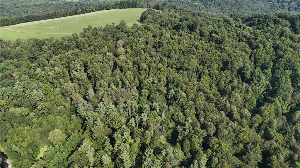 63.86-acres Along Kinderman Road Troutville, PA 15866 - Photo 5 of 15 a view of a field of grass and trees