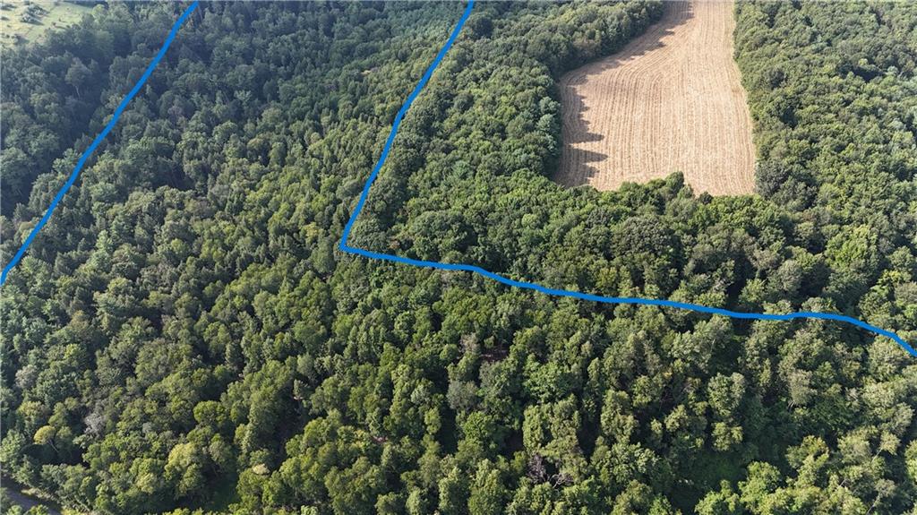 63.86-acres Along Kinderman Road Troutville, PA 15866 - Photo 6 of 15 a view of a forest with a tree