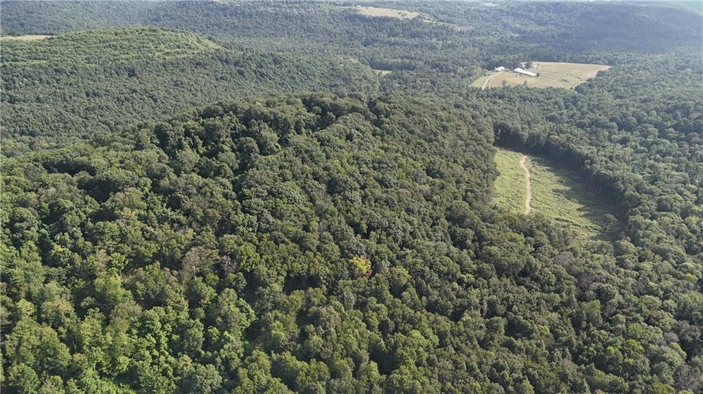 63.86-acres Along Kinderman Road Troutville, PA 15866 - Photo 9 of 15
