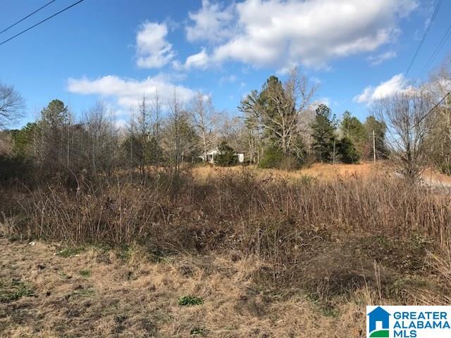 215 Hulsey Road Jacksonville, AL 36265 - Photo 2 of 4