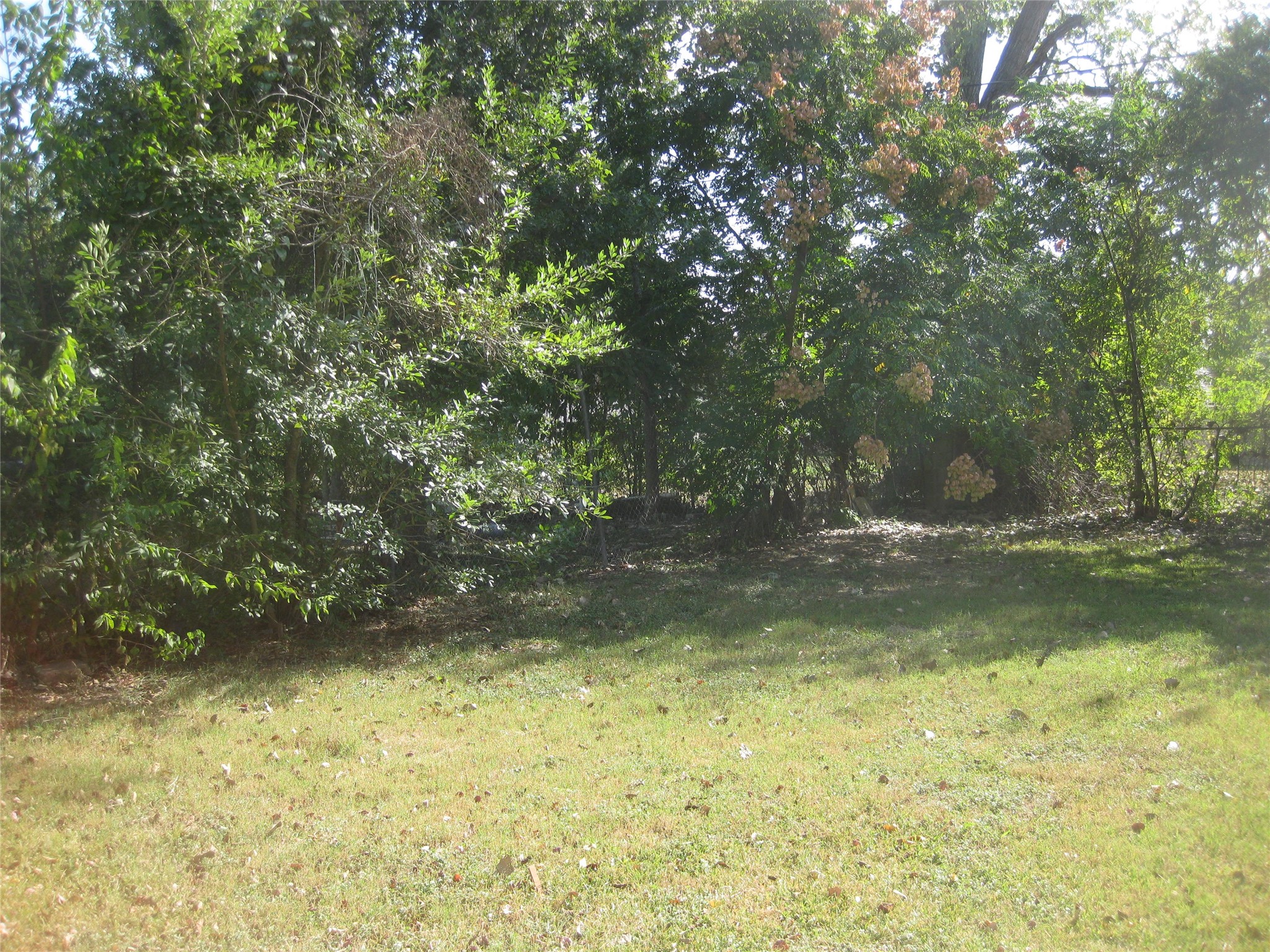 4902 Winfree Drive Houston, TX 77021 - Photo 20 of 20