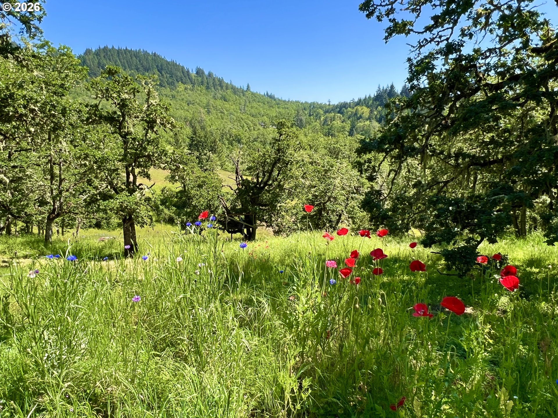 28544 Crow Road Eugene, OR 97402 - Photo 39 of 48 a view of a garden with flowers