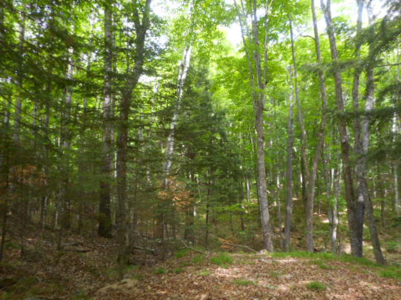 N10532 Walleye Road Pearson, WI 54462 - Photo 24 of 24 Gallery Image 24