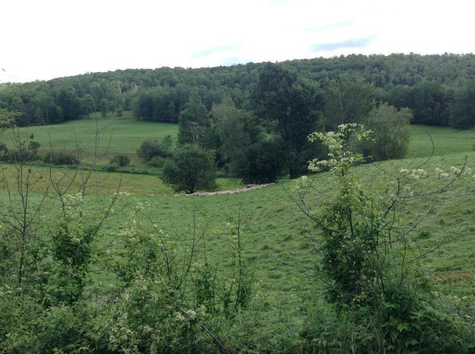 537 B Irish Settlement Road Underhill, VT 05489 - Photo 2 of 4