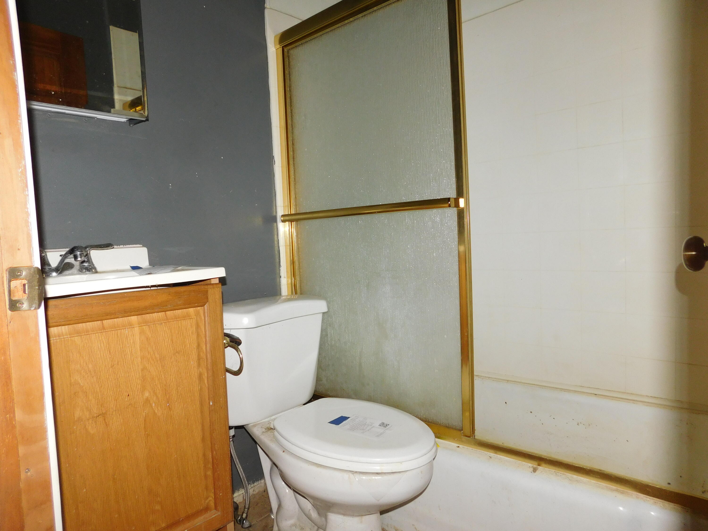 5929 Potter Street Haslett, MI 48840 - Photo 10 of 20 DSCN8758