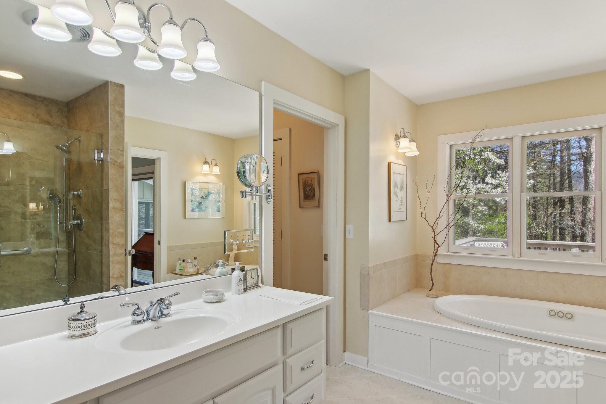 798 Evans Road Hendersonville, NC 28739 - Photo 20 of 45 a bathroom with a sink a toilet and a large mirror