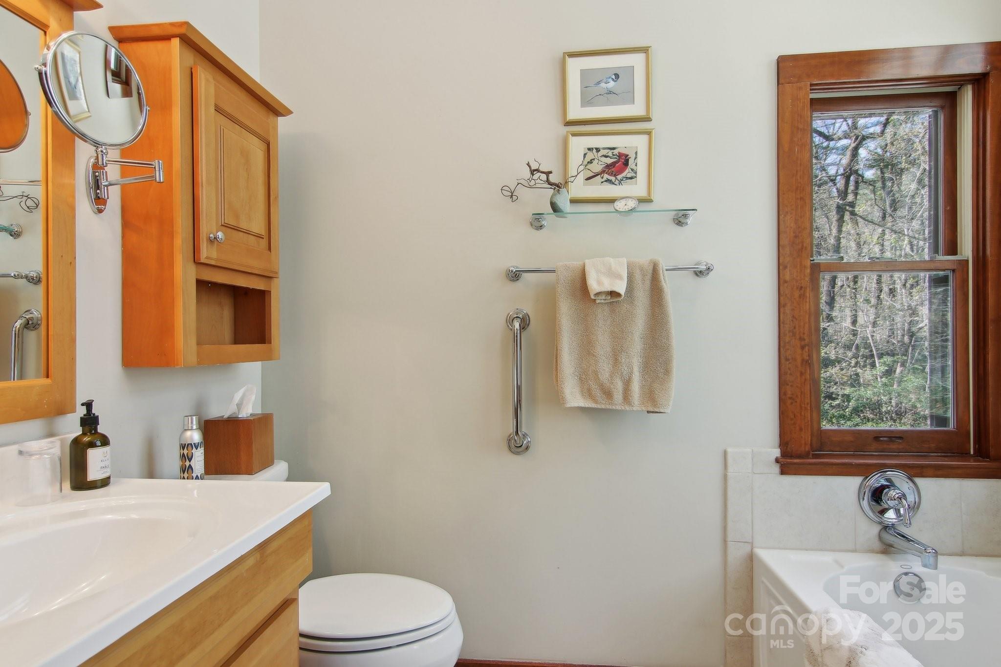 798 Evans Road Hendersonville, NC 28739 - Photo 24 of 45 a bathroom with a sink a toilet and shower