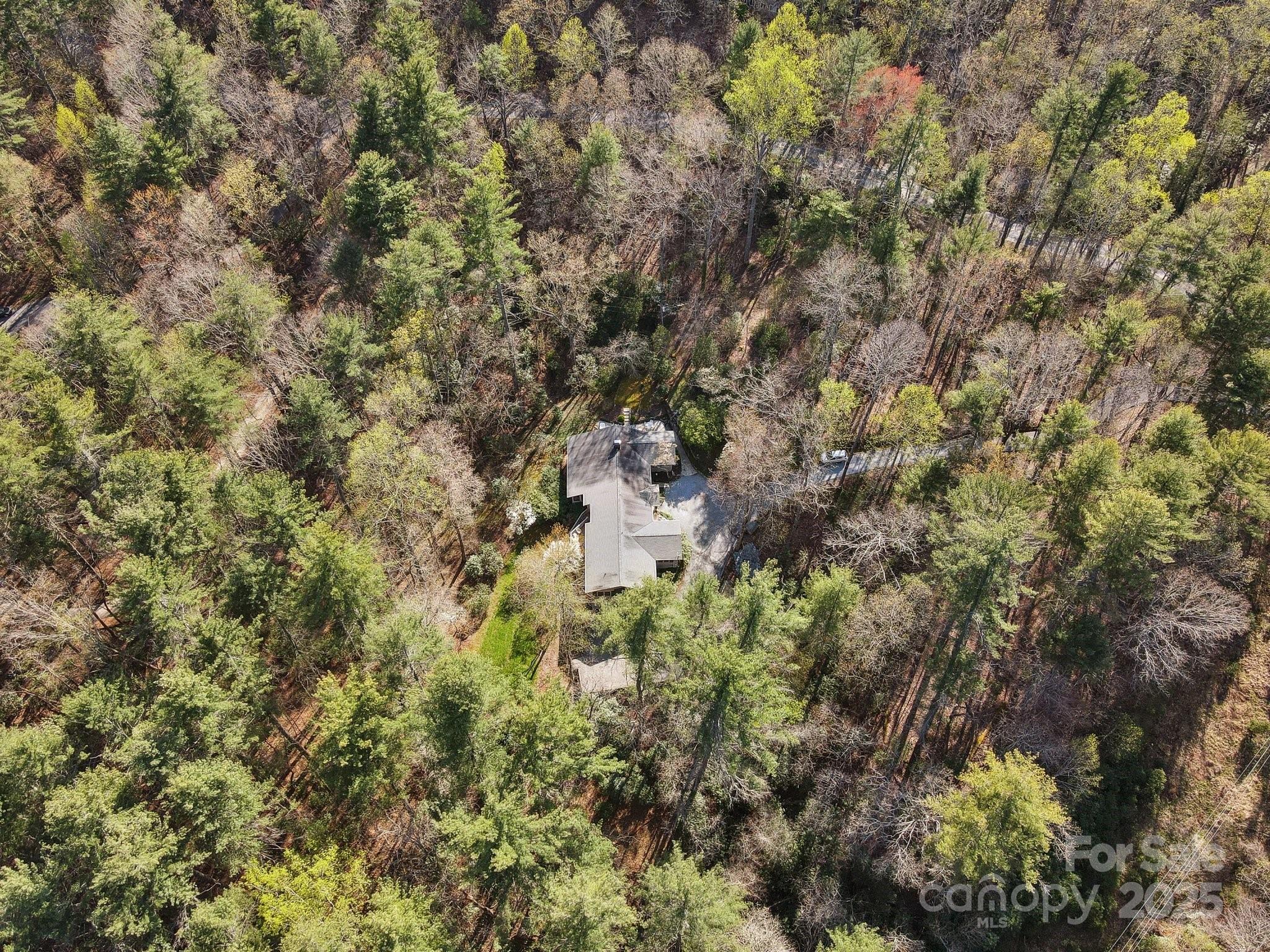 798 Evans Road Hendersonville, NC 28739 - Photo 41 of 45 a picture of a tree