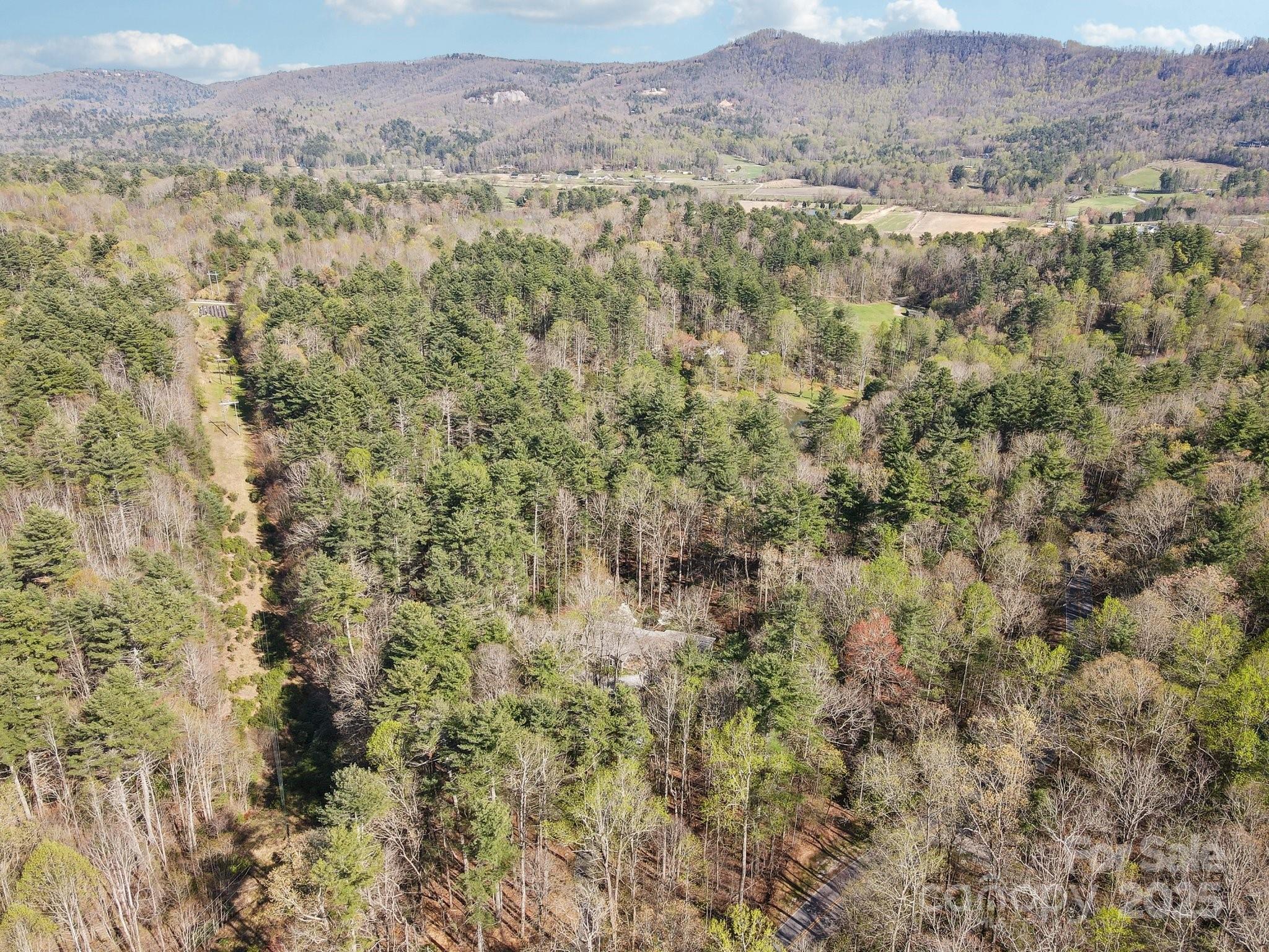 798 Evans Road Hendersonville, NC 28739 - Photo 42 of 45 a view of a city with lush green forest