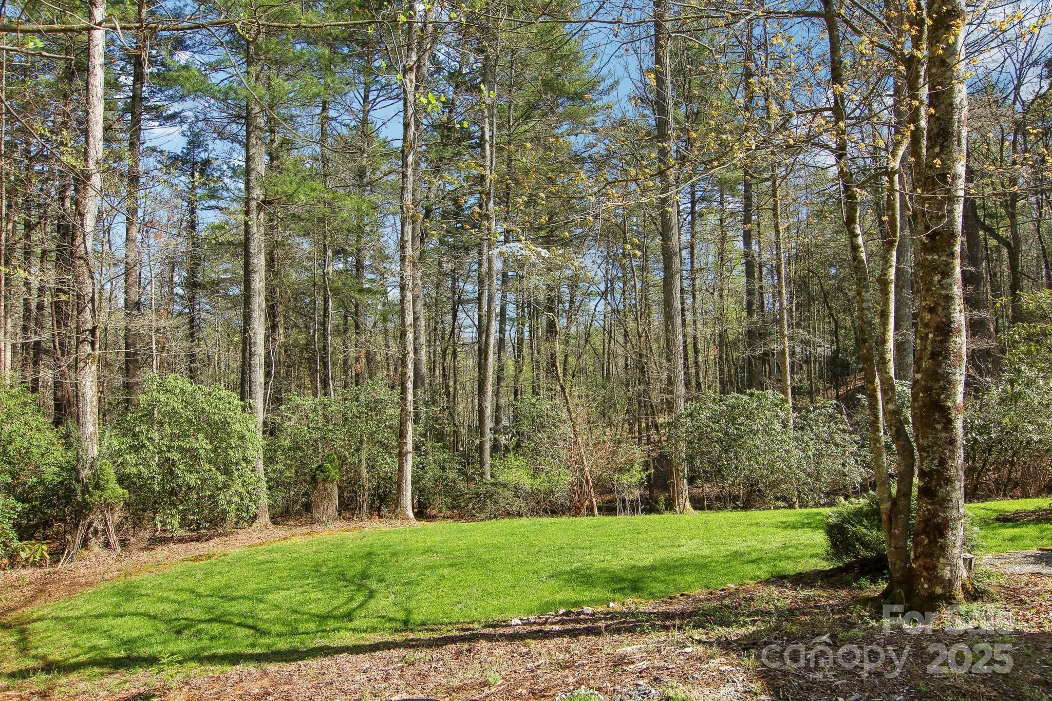 798 Evans Road Hendersonville, NC 28739 - Photo 44 of 45 a view of a city with lush green forest