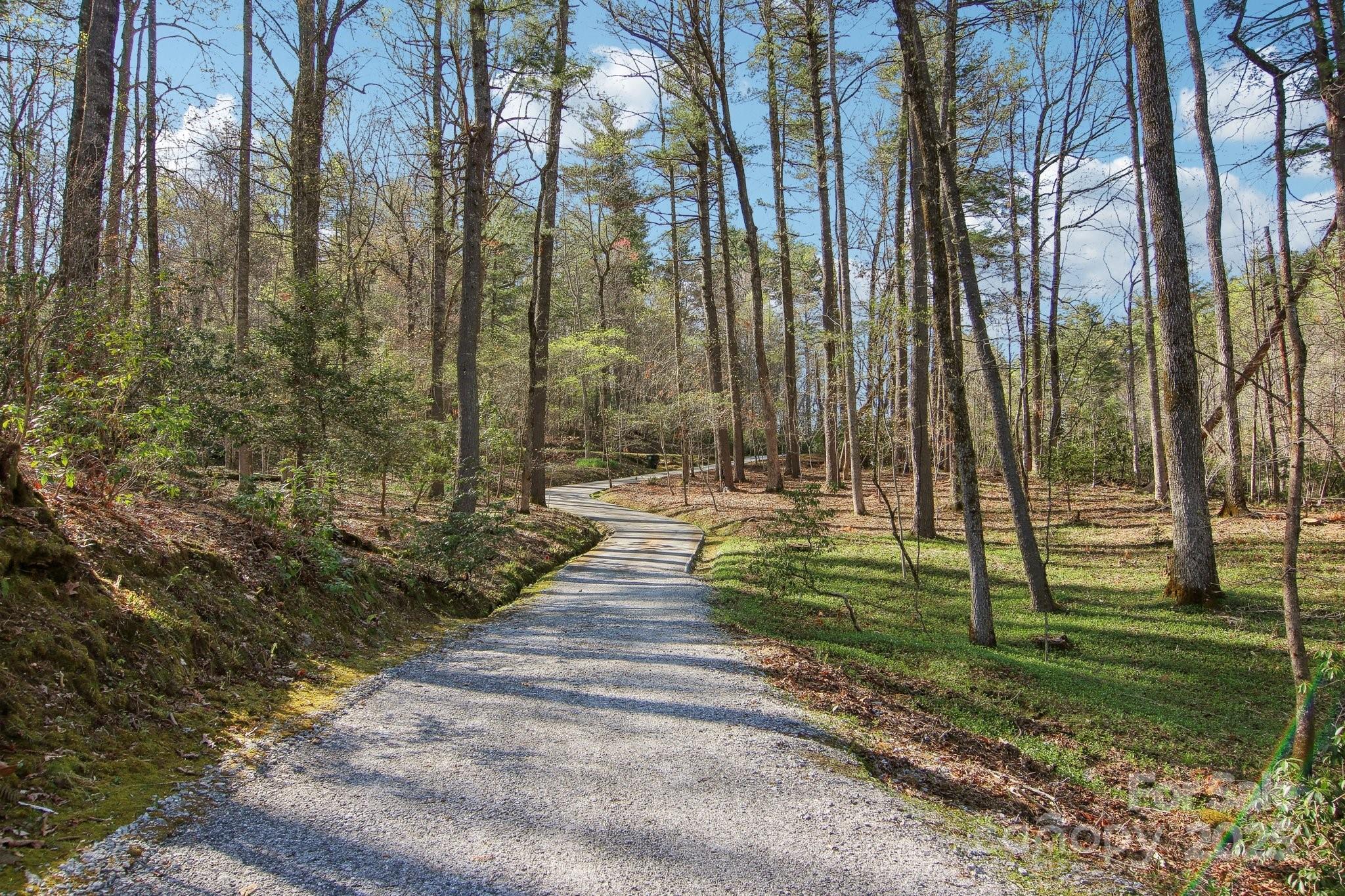 798 Evans Road Hendersonville, NC 28739 - Photo 45 of 45 a view of yard