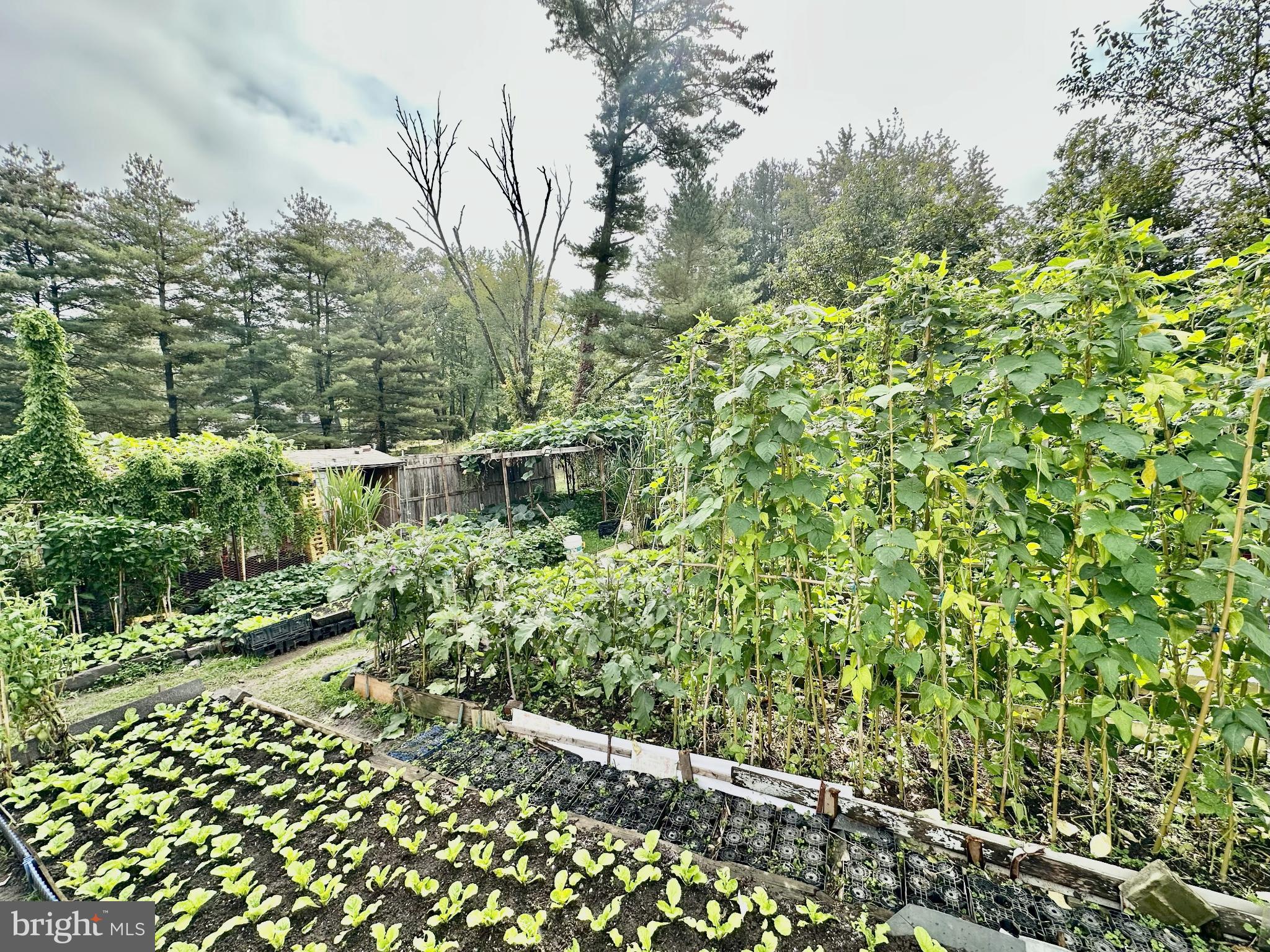 632 Durham Road Newtown, PA 18940 - Photo 29 of 36 a view of a garden with plants