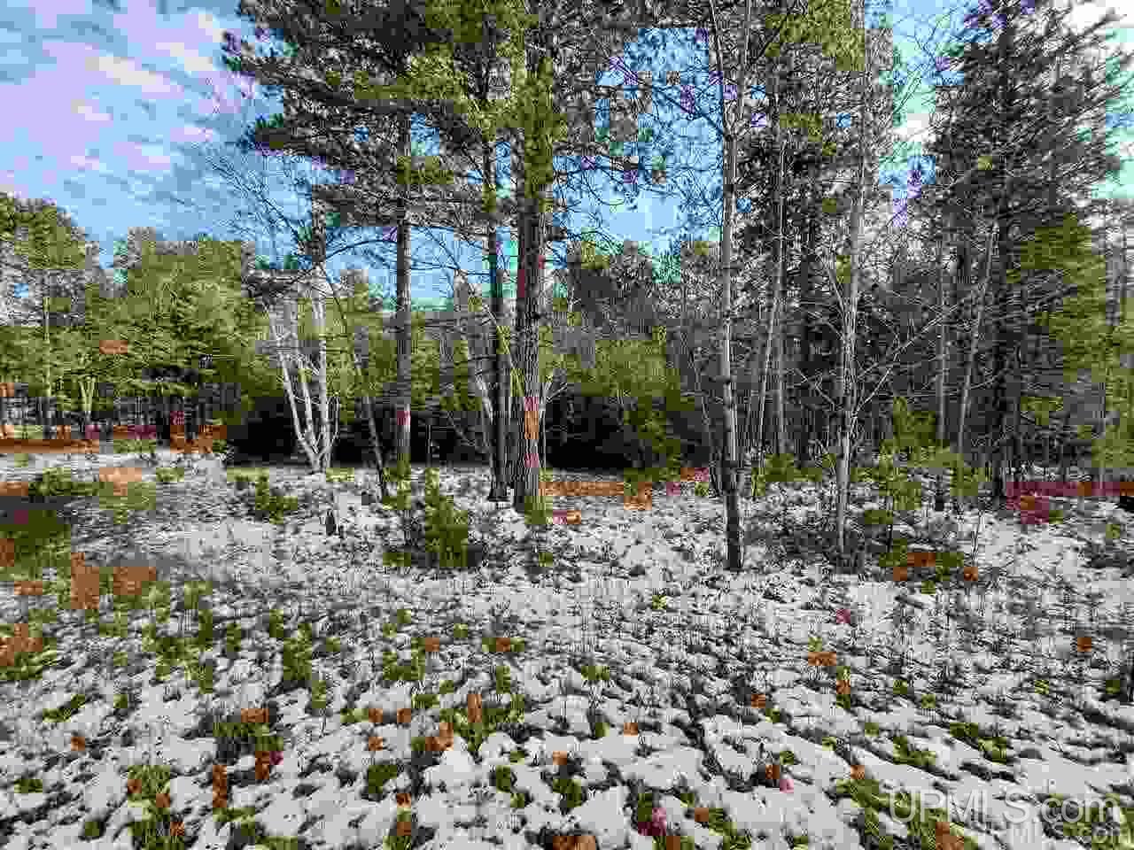 11.64 Acres Co Road Marquette, MI 49855 - Photo 2 of 8