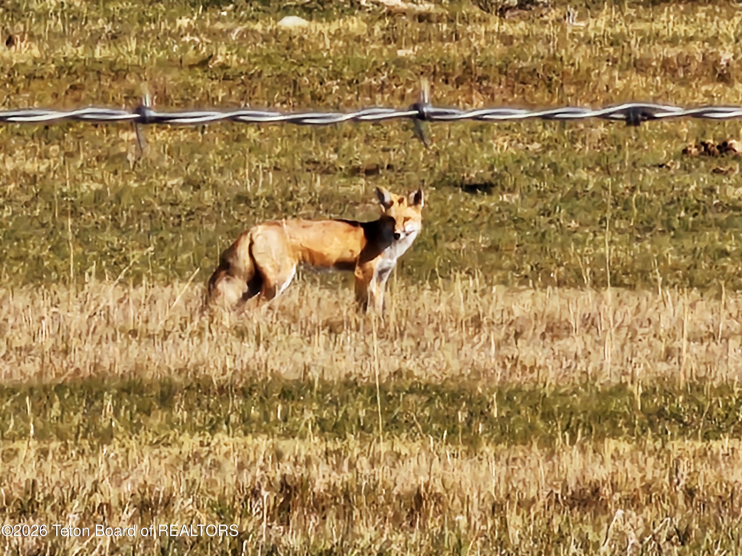138-2 Forty Rod Road Pinedale, WY 82941 - Photo 63 of 77 20240906_172450