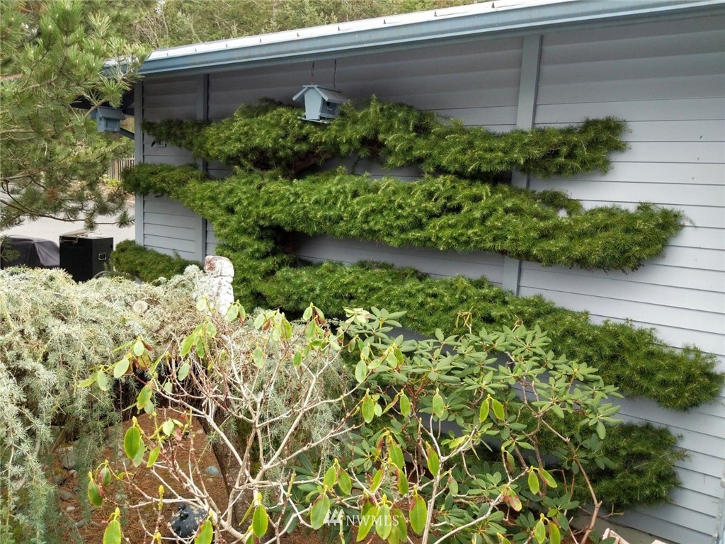 525 Buckhorn Road Orcas Island, WA 98245 - Photo 18 of 25 Gallery Image 18