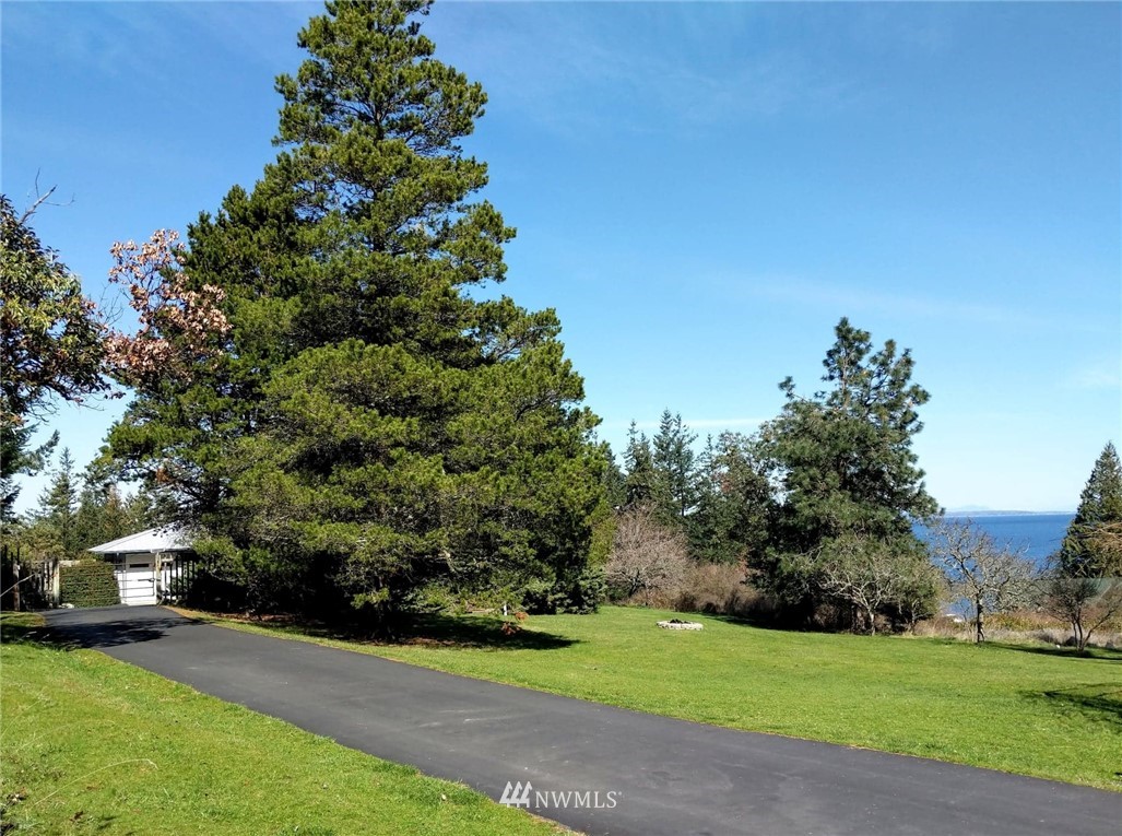 525 Buckhorn Road Orcas Island, WA 98245 - Photo 3 of 25 Gallery Image 3