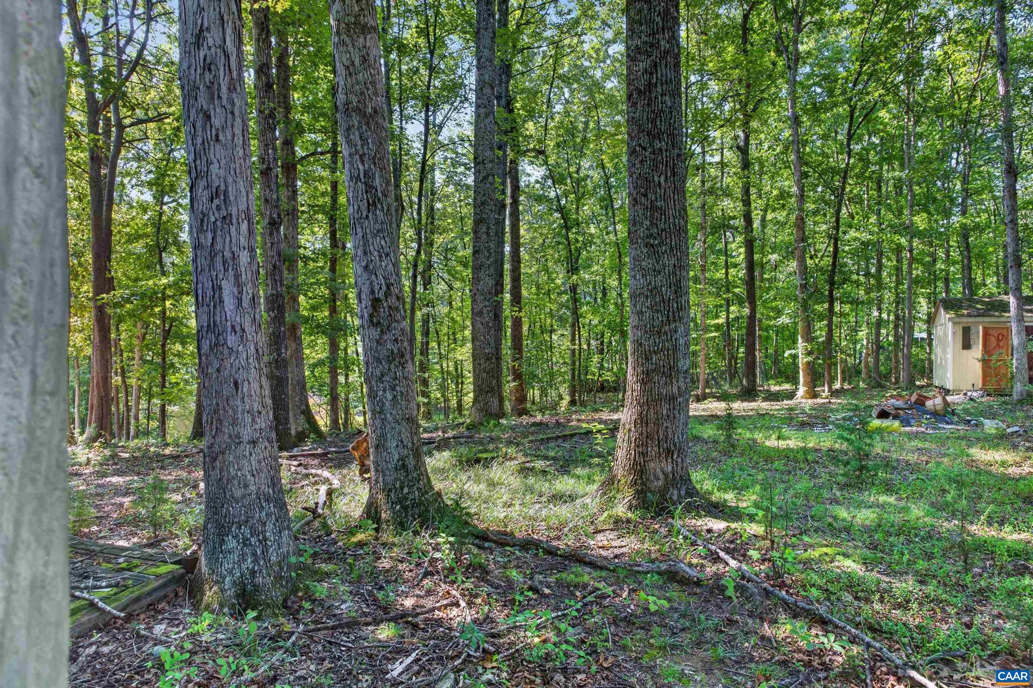 360 Swift Run Road, Unit 49 A 38C Ruckersville, VA 22968 - Photo 9 of 10 Gallery Image 9
