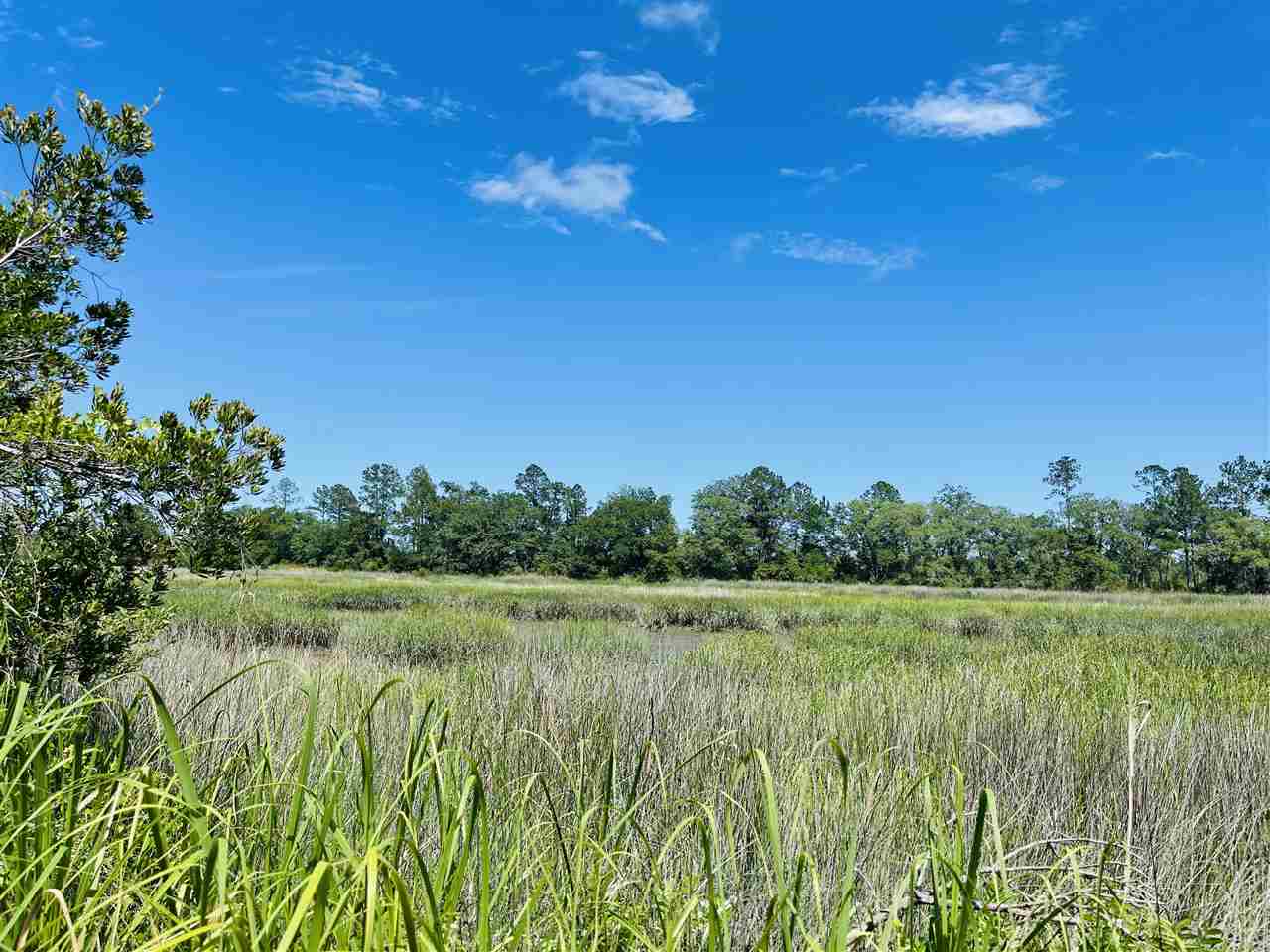3297 Horseshoe Cove Road Waverly, GA 31565 - Photo 15 of 22