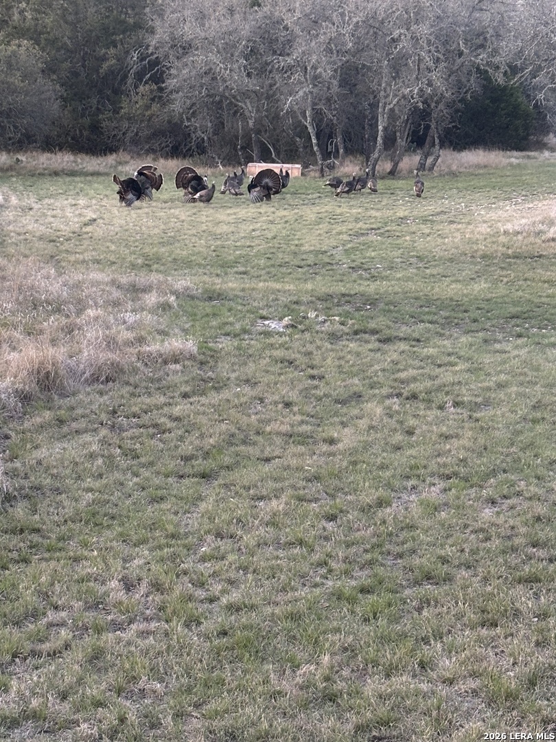 932 Wofford Road London, TX 76854 - Photo 47 of 50