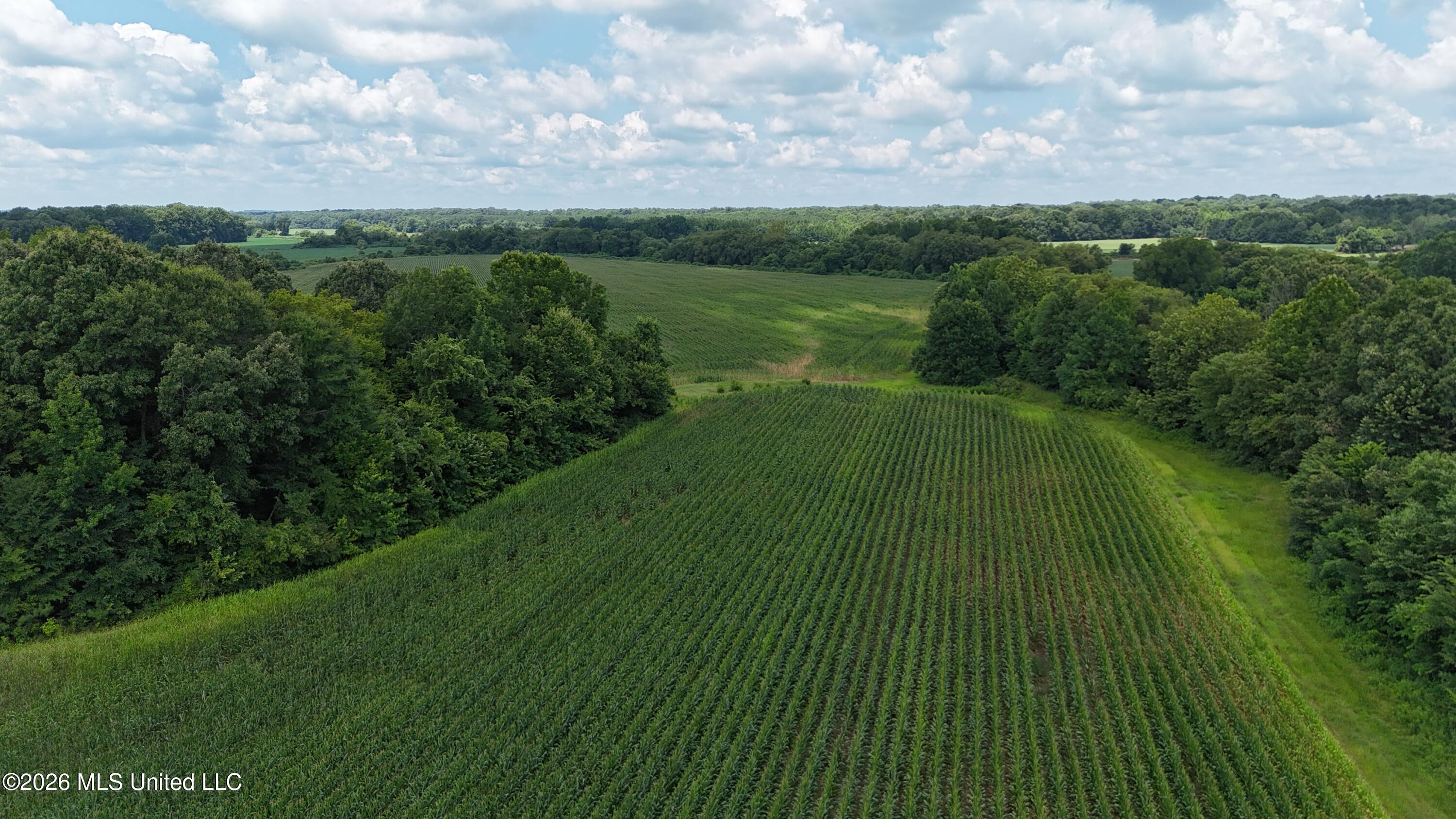 Barr Road Coldwater, MS 38618 - Photo 9 of 19 DJI_20260706120223_0046_D