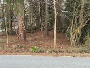 0 Yates Road Atlanta, GA 30337 - Photo 1 of 2 a backyard of a house with lots of green space