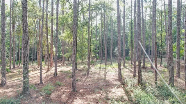 $108,900 | 0 Saddle Rope Trail, Tallahassee, FL 32305