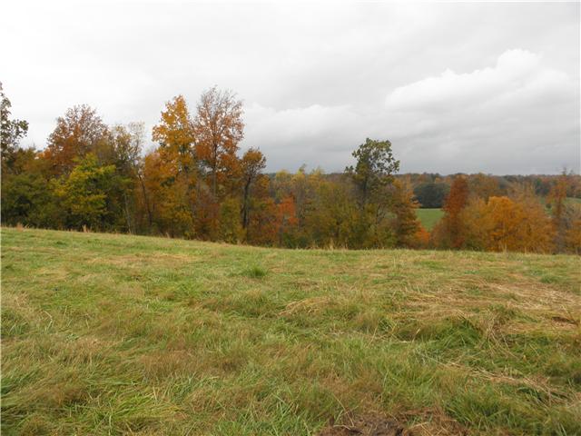 1347 Westfield Road Dickson, TN 37055 - Photo 2 of 20 Gallery Image 2