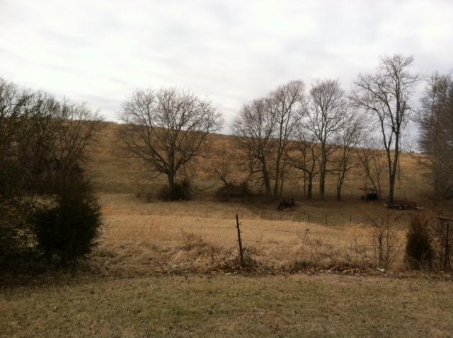 1347 Westfield Road Dickson, TN 37055 - Photo 11 of 20 Gallery Image 11