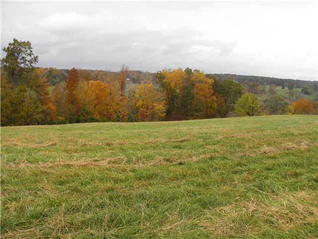 1347 Westfield Road Dickson, TN 37055 - Photo 12 of 20 Gallery Image 12