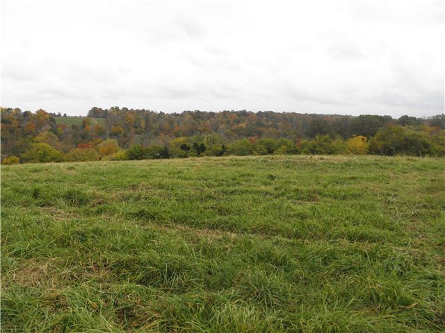 1347 Westfield Road Dickson, TN 37055 - Photo 13 of 20 Gallery Image 13