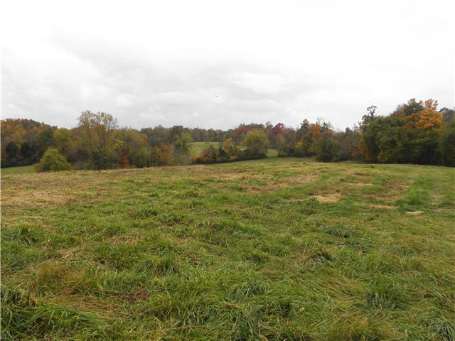 1347 Westfield Road Dickson, TN 37055 - Photo 14 of 20 Gallery Image 14