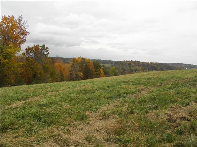1347 Westfield Road Dickson, TN 37055 - Photo 17 of 20 Gallery Image 17