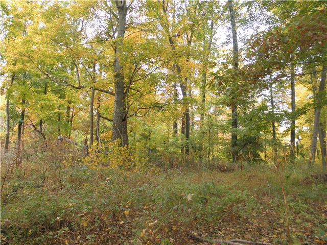 1347 Westfield Road Dickson, TN 37055 - Photo 3 of 20 Gallery Image 3