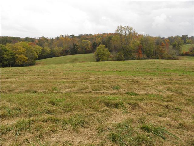 1347 Westfield Road Dickson, TN 37055 - Photo 4 of 20 Gallery Image 4