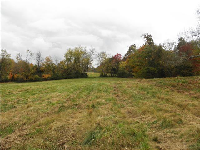 1347 Westfield Road Dickson, TN 37055 - Photo 5 of 20 Gallery Image 5