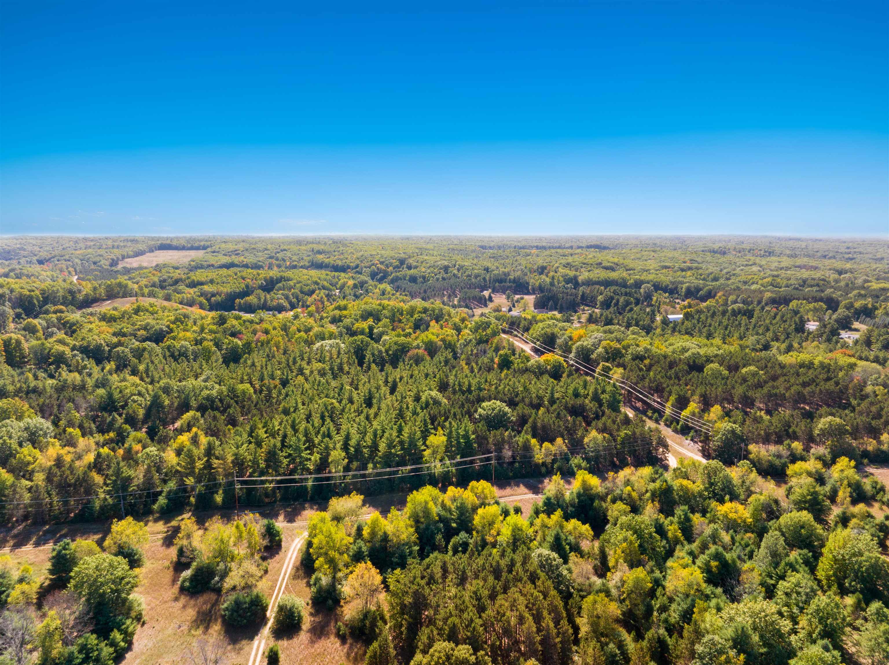 0 Bunker Hill Road Williamsburg, MI 49690 - Photo 6 of 13