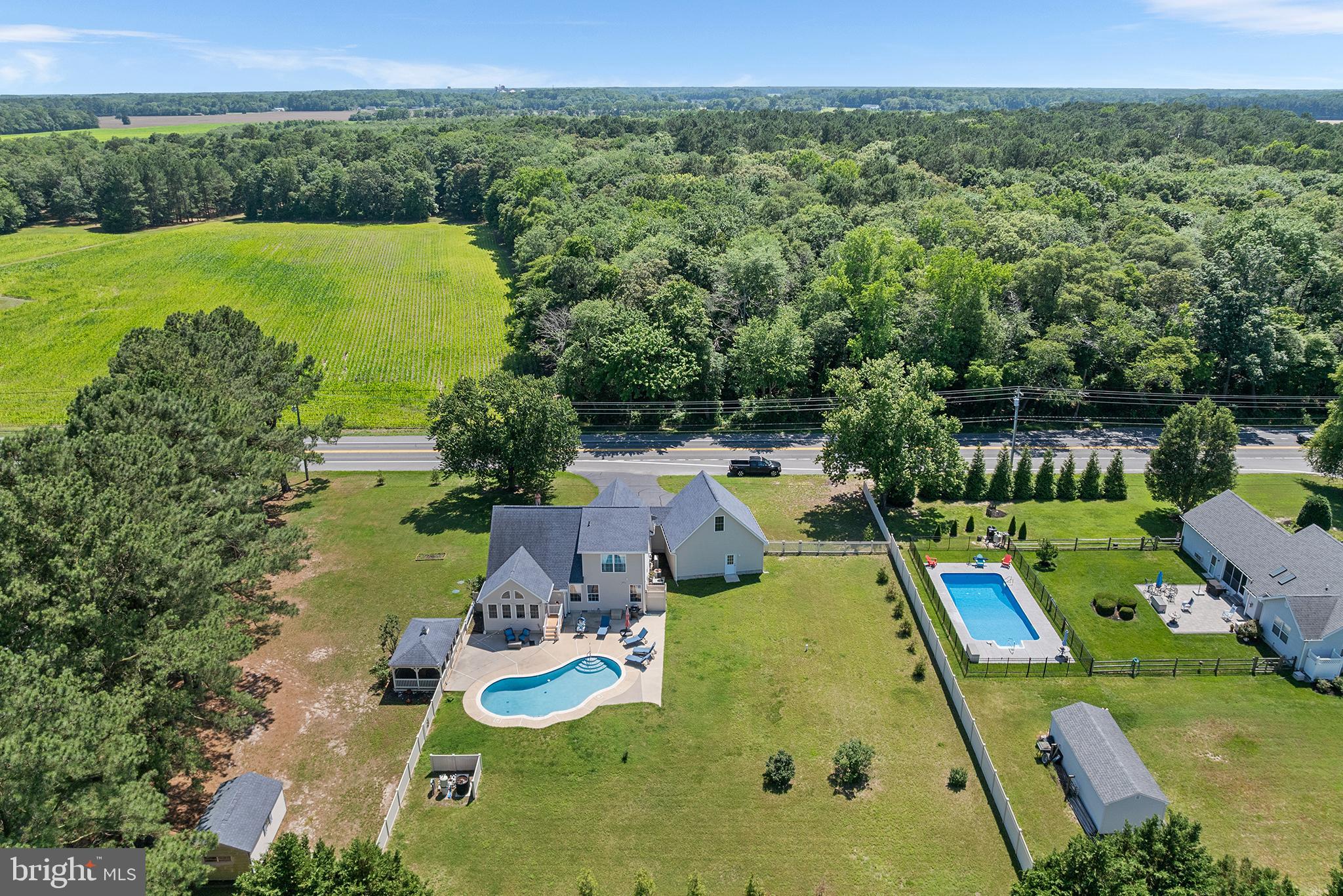 30249 Armory Road Dagsboro, DE 19939 - Photo 38 of 41 a view of a swimming pool with lounge chair